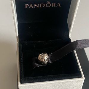 Silver Ladybug 🐞 Pandora charm